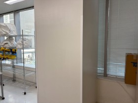 壁塗装工事